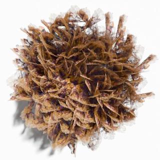 PaintShed flower with layered brown spiky petals