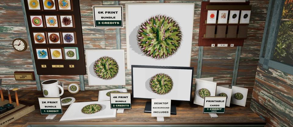 PaintShed Output Shop showing print bundles, desktop background and printable cards